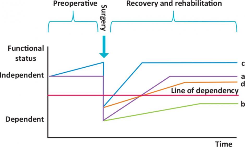 Prehabilitation graph against time Prehabilitation graph against time